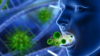 کشف جدید دانشمندان: برخی باکتریهای دهان میتوانند خطر ابتلا به آلزایمر را افزایش دهند